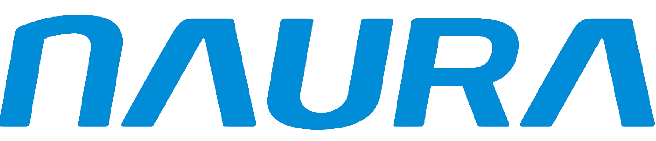 NAURA Technology Group CI